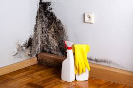 Mold Documentation for Insurance Claims in Pittsboro, NC